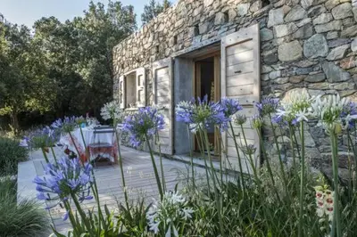 Jardin de l'établissement Les jardins de Foata