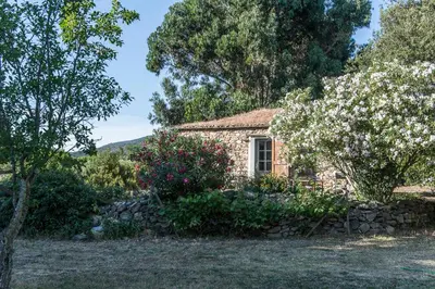 Jardin de l'établissement Les jardins de Foata