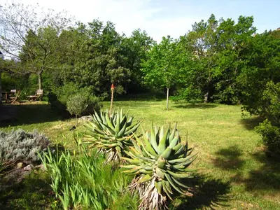 Jardin de l'établissement Les jardins de Foata