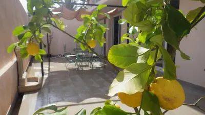 Jardin de l'établissement appartement vue mer montagnes et citadelle casa di a murza Calvi