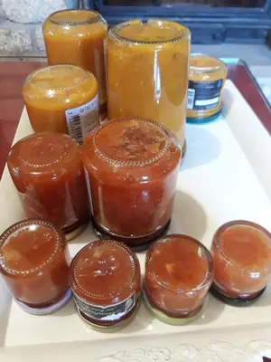 Nourriture dans la maison d'hôtes ou à proximité