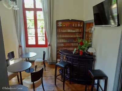Télévision ou salle de divertissement dans l'établissement Le Vizzavona