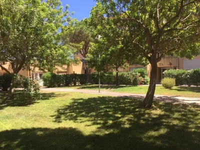 Jardin de l'établissement Calvi au soleil