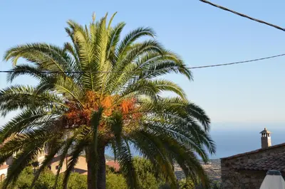 Paysage naturel près de la maison de vacances