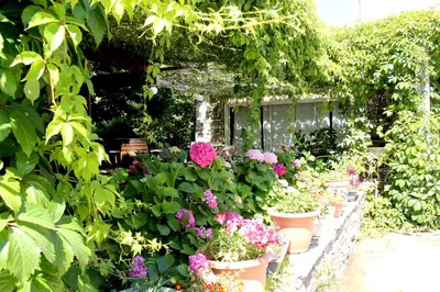 Jardin de l'établissement Accendi Pipa