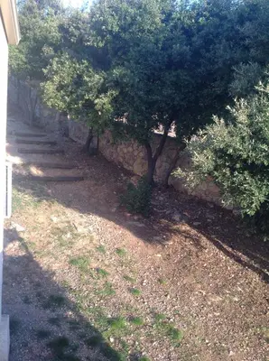 Jardin de l'établissement Apartement Alba Oletta