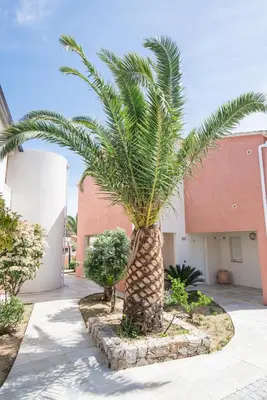 Jardin de l'établissement Les Alizés Résidence & Spa
