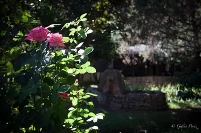 Jardin de l'établissement Résidence Marina Livia
