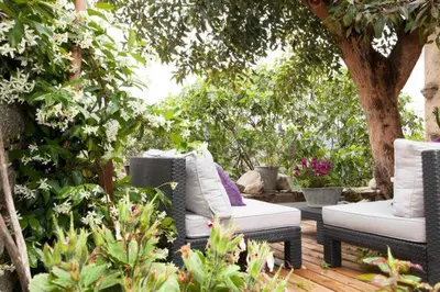 Jardin de l'établissement Chez Caro