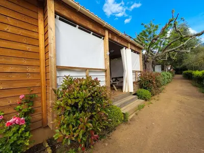Jardin de l'établissement Camping Les Oliviers