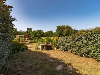 Jardin de l'établissement Villa Gelormini-2 by Interhome