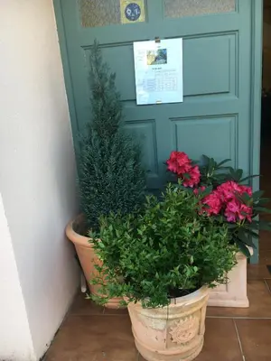 Jardin de l'établissement Casa Meridiana