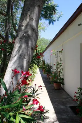Jardin de l'établissement Casa Orsoni