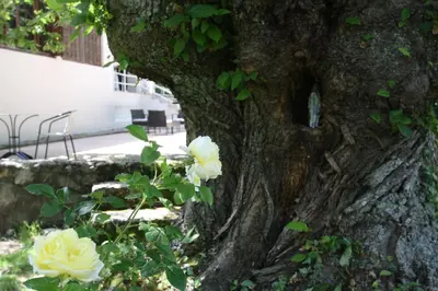 Jardin de l'établissement 1er Consul SAS a Bussinca