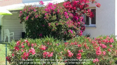 Jardin de l'établissement Jason