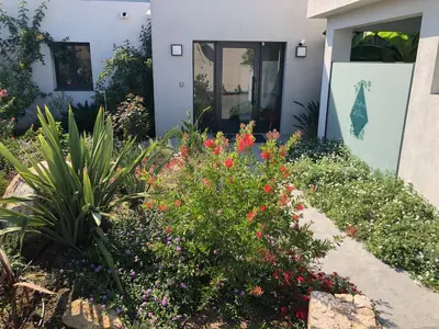 Jardin de l'établissement Residence Petradoru