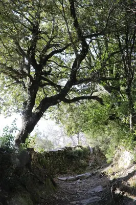 Paysage naturel près de l'hôtel