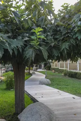 Jardin de l'établissement Isola Hôtel