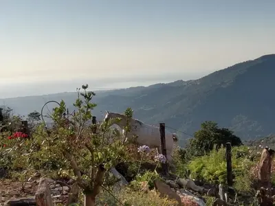 Paysage naturel près de la maison de vacances