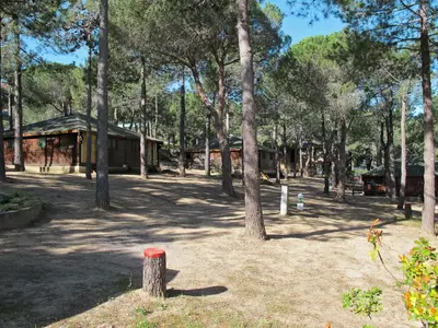 Jardin de l'établissement Holiday Home Chalet 2 pers by Interhome