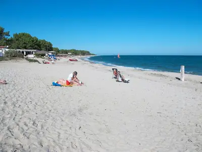 Plage de l'appartement ou située à proximité