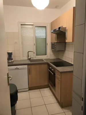 Cuisine ou kitchenette dans l'établissement Villa Romarin