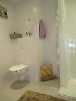 Salle de bains dans l'établissement appartement
