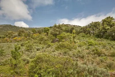 Paysage naturel près de l'appartement