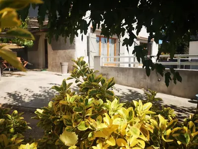 Jardin de l'établissement E Cabane