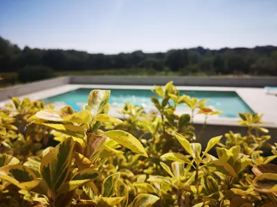 Piscine de l'établissement E Cabane ou située à proximité