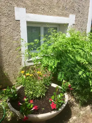 Jardin de l'établissement L'Isula Rossa