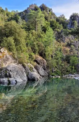 Paysage naturel près de le camping