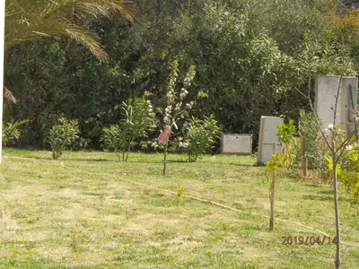 Jardin de l'établissement corse location