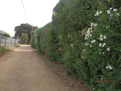 Jardin de l'établissement corse location
