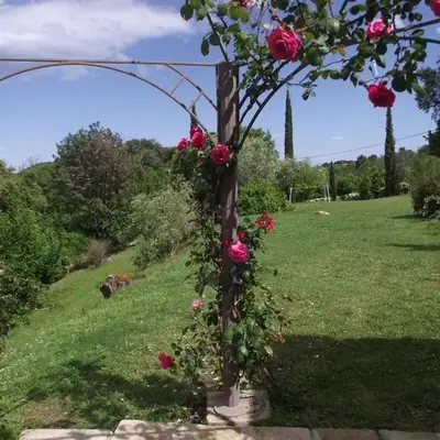 soleil et farniente