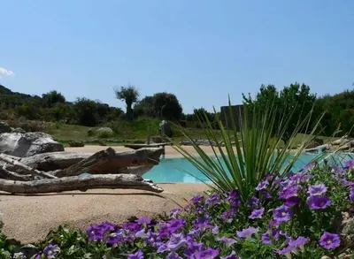 Piscine de l'établissement L'Alivi di l'Osari ou située à proximité