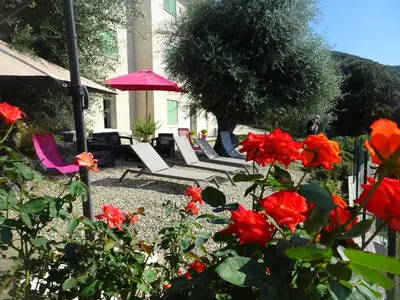 Jardin de l'établissement location farinole proche saint-florent