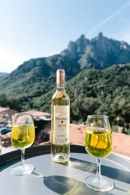 Vue générale sur la montagne ou vue sur la montagne depuis l'hôtel