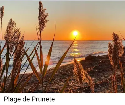 Paysage naturel près de l'appartement