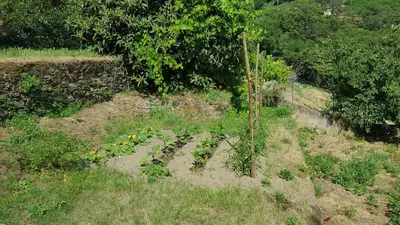 Jardin de l'établissement English Club in Corsica B&B
