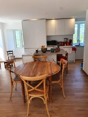 Cuisine ou kitchenette dans l'établissement English Club in Corsica B&B