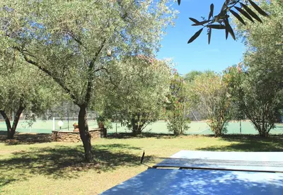 Jardin de l'établissement Chambres d'hôtes Le Clos des Oliviers