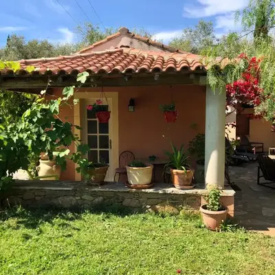 Domaine Le Clos des Oliviers