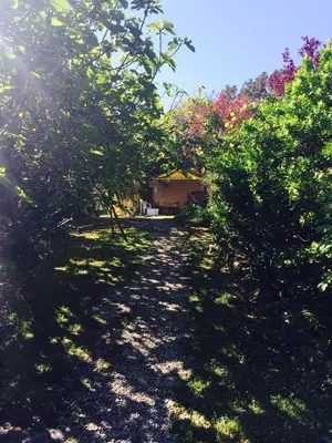 Jardin de l'établissement Studio à la campagne