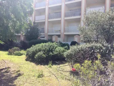 Jardin de l'établissement Résidence les Eucalyptus