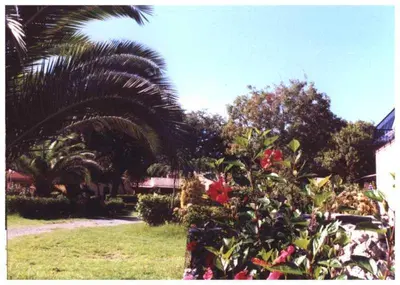 Jardin de l'établissement Domaine de l'Avidanella