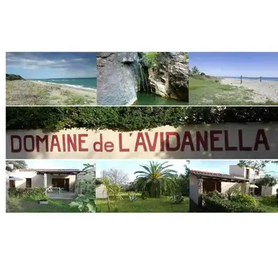 Domaine de l'Avidanella