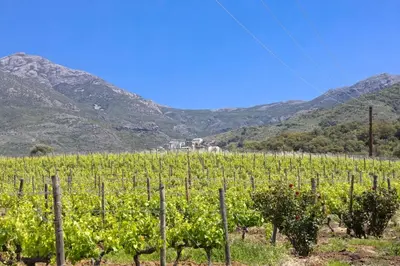 Paysage naturel près de l'appartement
