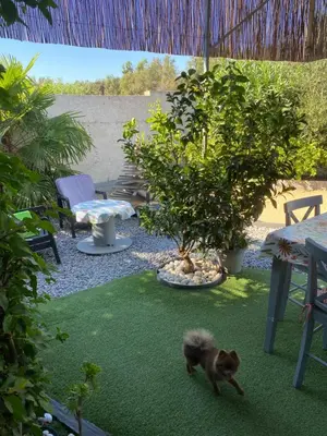 Jardin de l'établissement Studio Marymer
