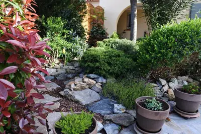 Jardin de l'établissement Patrimonio chambre avec commodités chez l’habitant